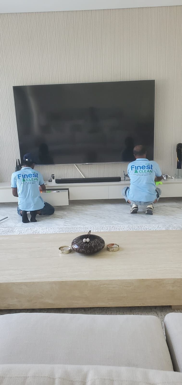 Living room consoles and electronics
